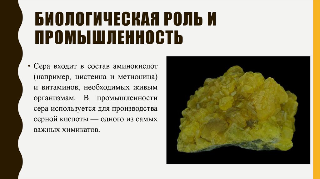 Биологическая роль и промышленность