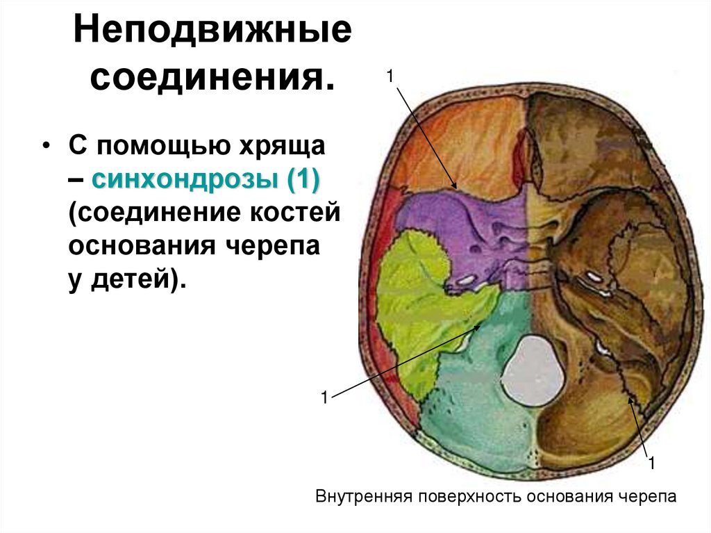 Неподвижные соединения.