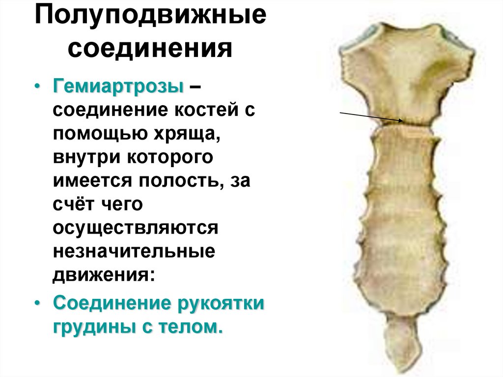 Полуподвижные соединения