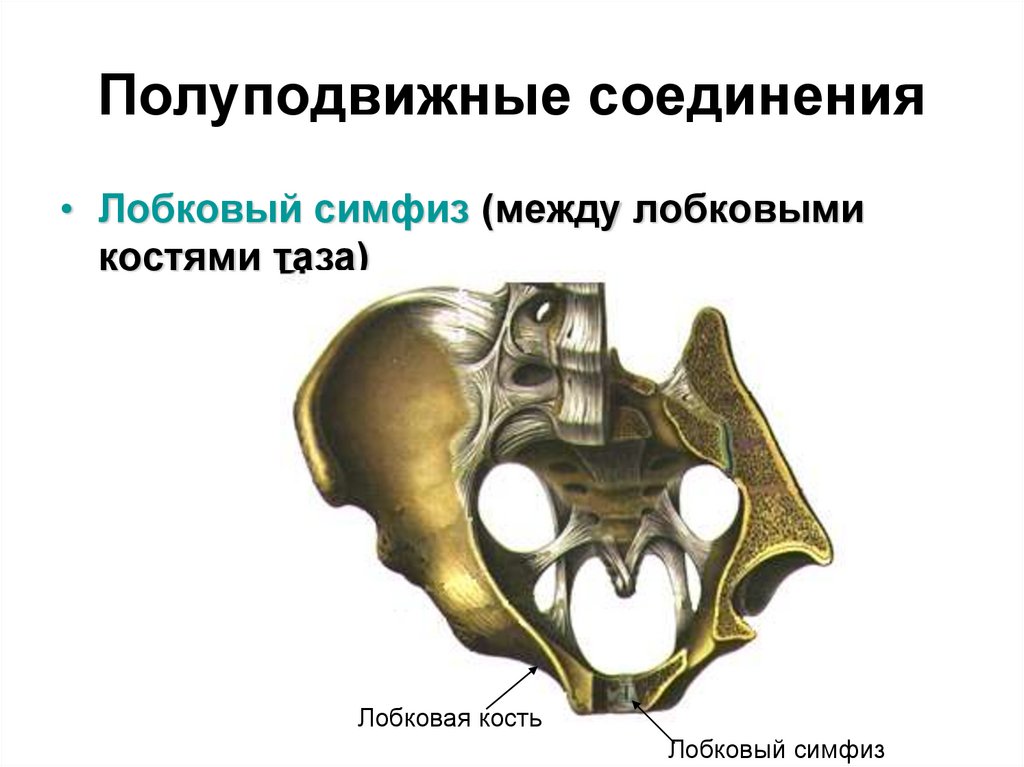 Полуподвижные соединения