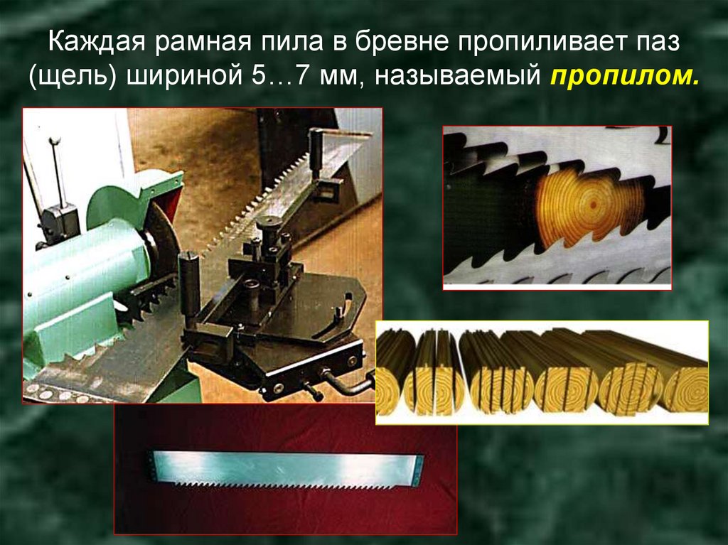 Каждая рамная пила в бревне пропиливает паз (щель) шириной 5…7 мм, называемый пропилом.