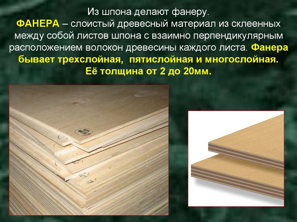 Из шпона делают фанеру. ФАНЕРА – слоистый древесный материал из склеенных между собой листов шпона с взаимно перпендикулярным