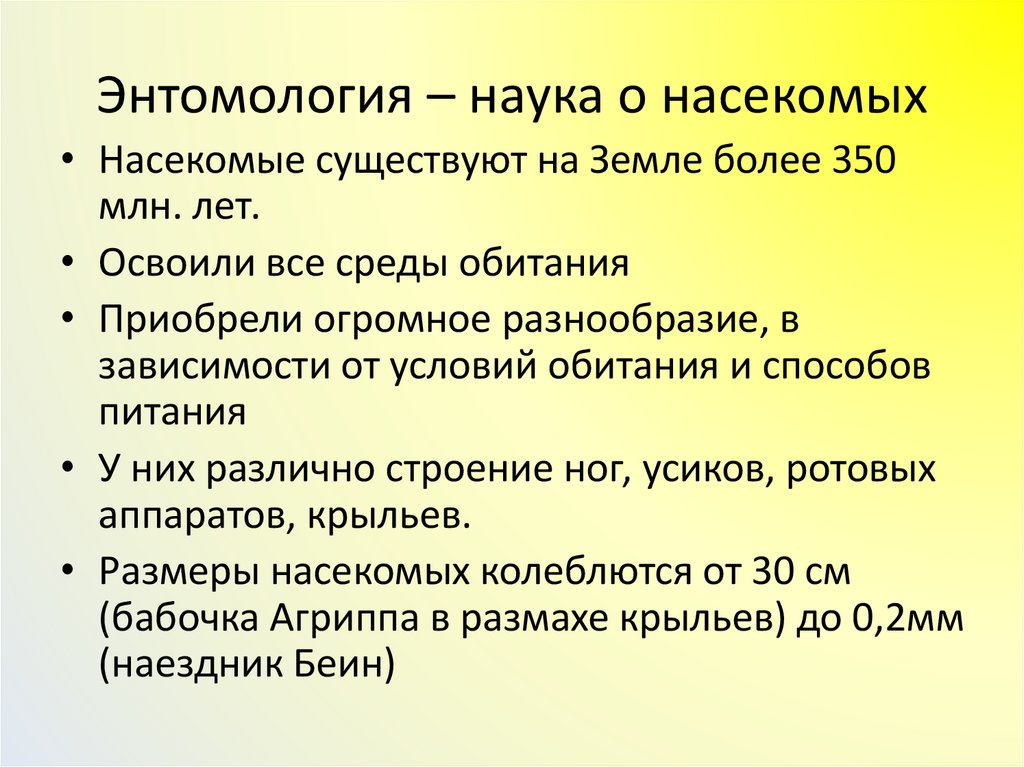 Энтомология – наука о насекомых
