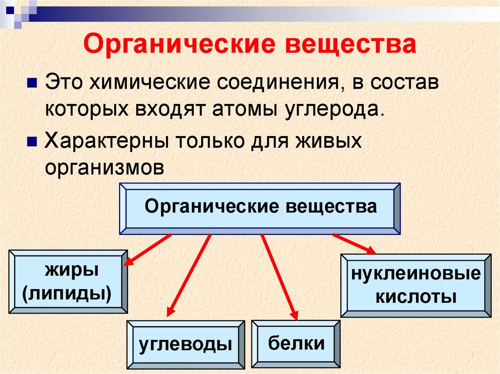 Органические вещества