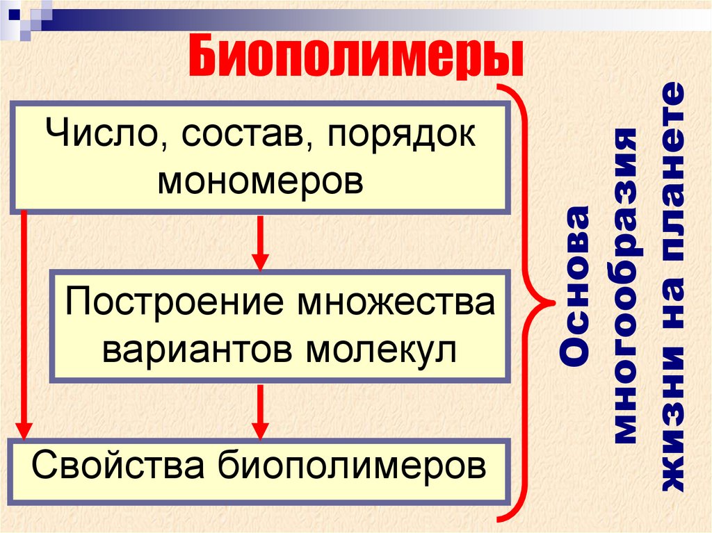 Биополимеры