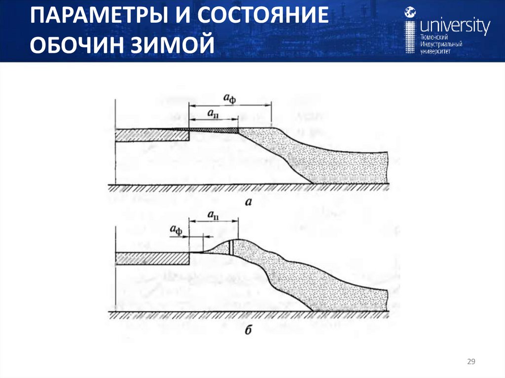 ПАРАМЕТРЫ И СОСТОЯНИЕ ОБОЧИН ЗИМОЙ