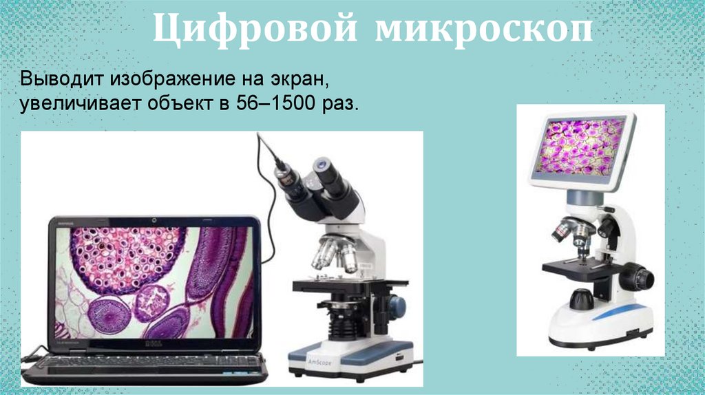 Цифровой микроскоп