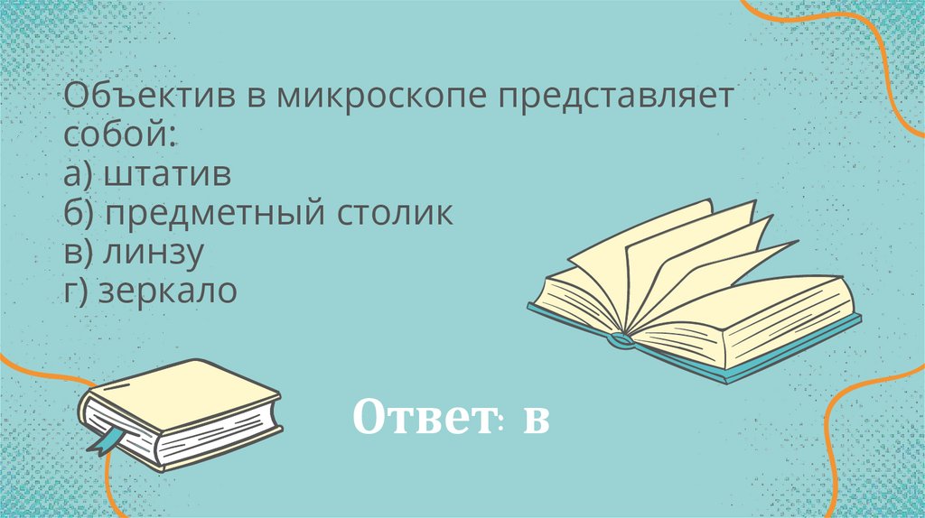Ответ: в
