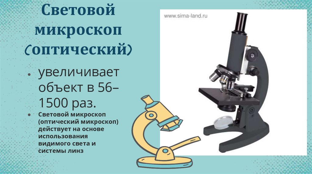 Световой микроскоп (оптический)