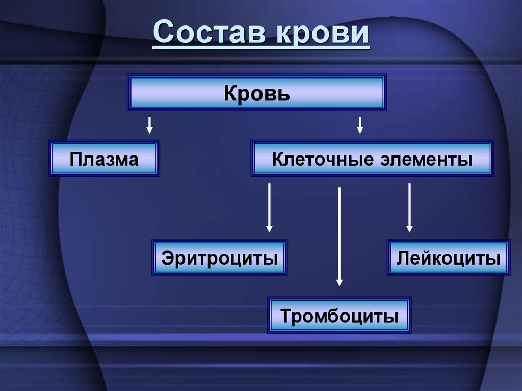 Состав крови