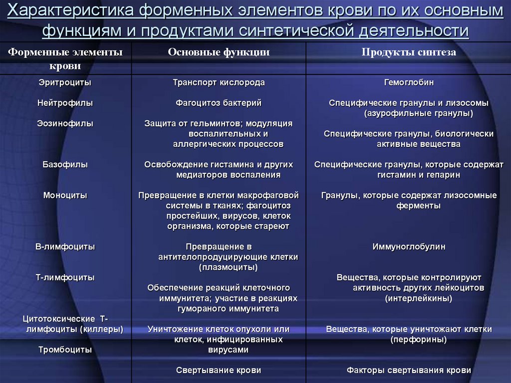 Характеристика форменных элементов крови по их основным функциям и продуктами синтетической деятельности