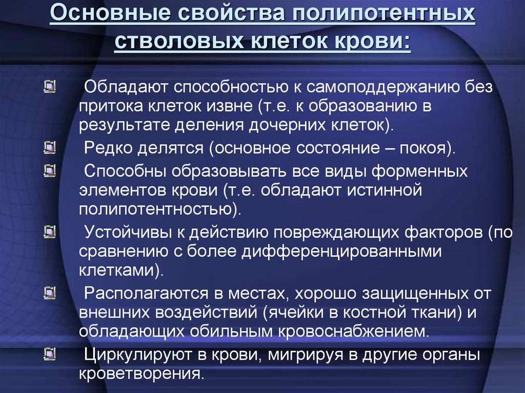 Основные свойства полипотентных стволовых клеток крови: