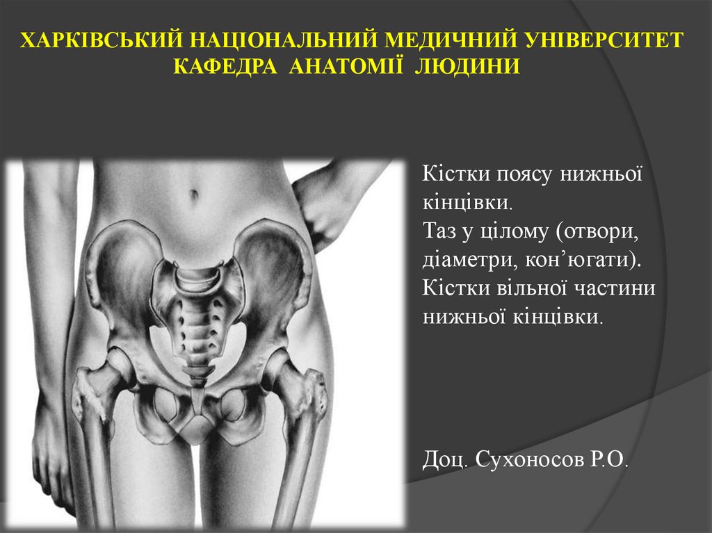 ХАРКІВСЬКИЙ НАЦІОНАЛЬНИЙ МЕДИЧНИЙ УНІВЕРСИТЕТ КАФЕДРА АНАТОМІЇ ЛЮДИНИ