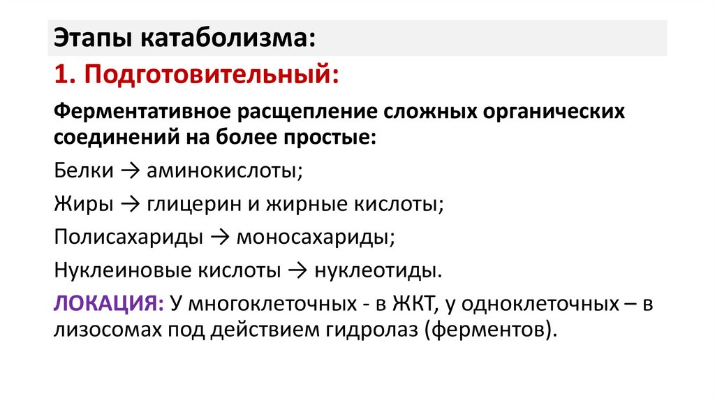 Этапы катаболизма: