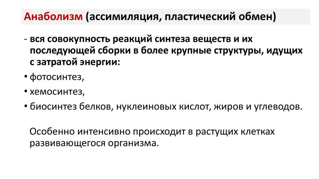 Анаболизм (ассимиляция, пластический обмен)