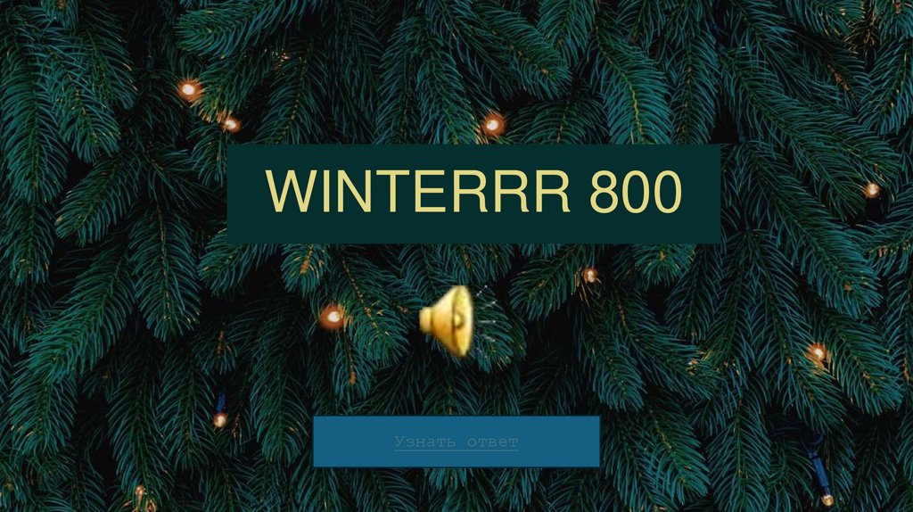 WINTERRR 800