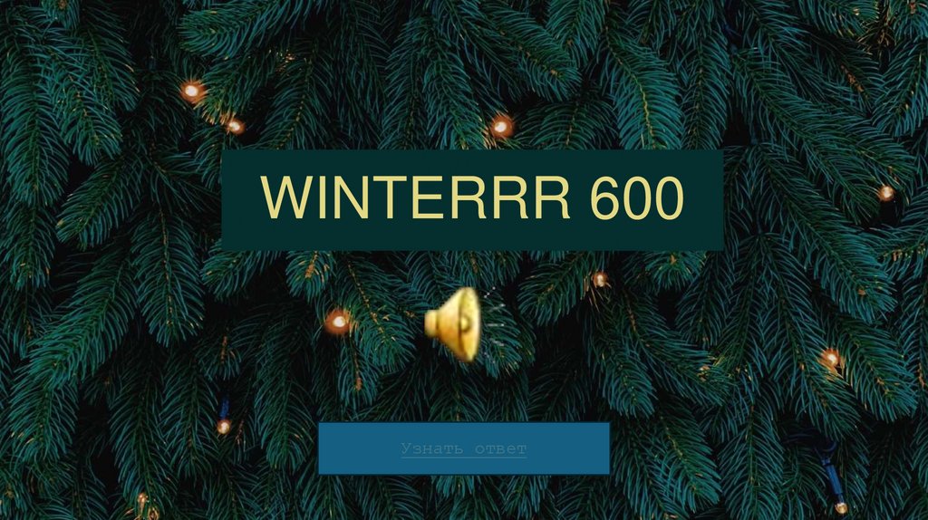 WINTERRR 600