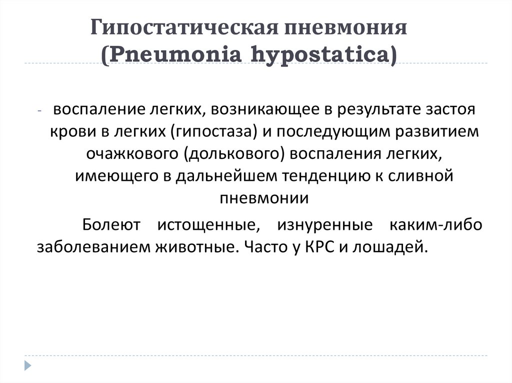 Профилактика