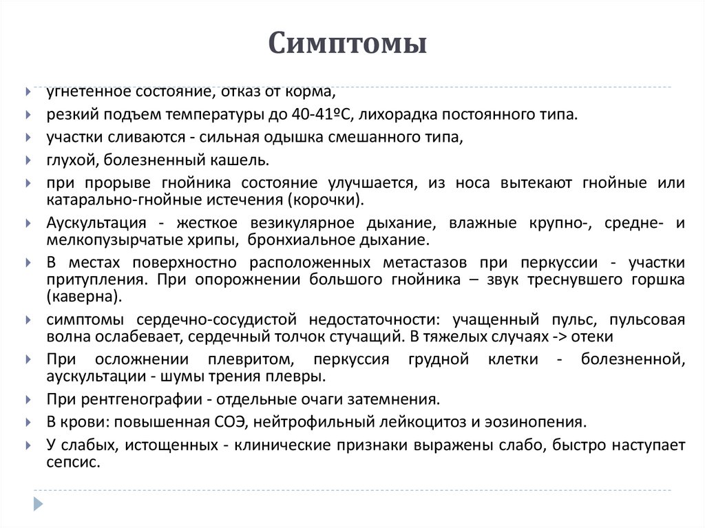 Метастатическая пневмония (Pneumnia metastatica)