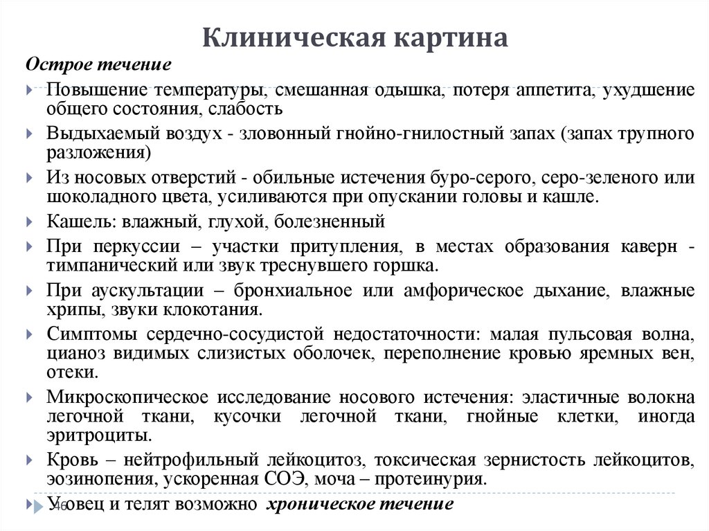 Профилактика