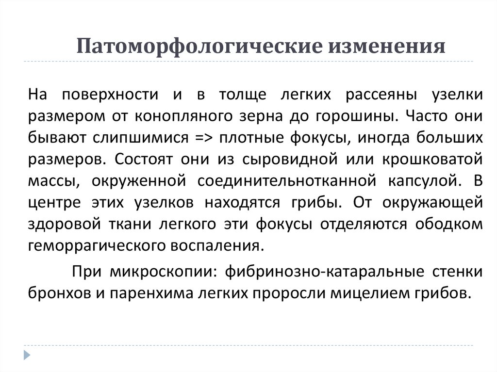 Микотическая пневмония (Pneumomykosis)