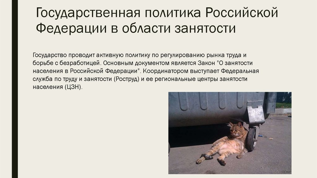 Государственная политика Российской Федерации в области занятости