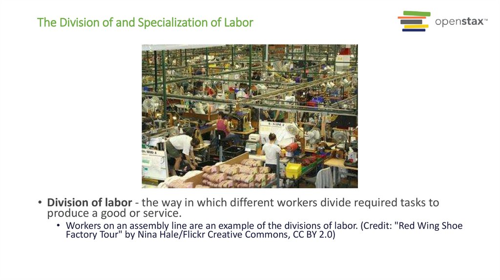The Division of and Specialization of Labor
