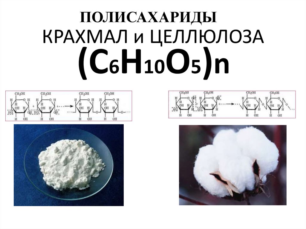 КРАХМАЛ и ЦЕЛЛЮЛОЗА