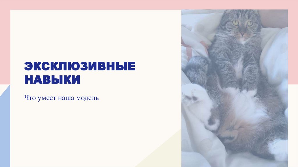 Эксклюзивные навыки