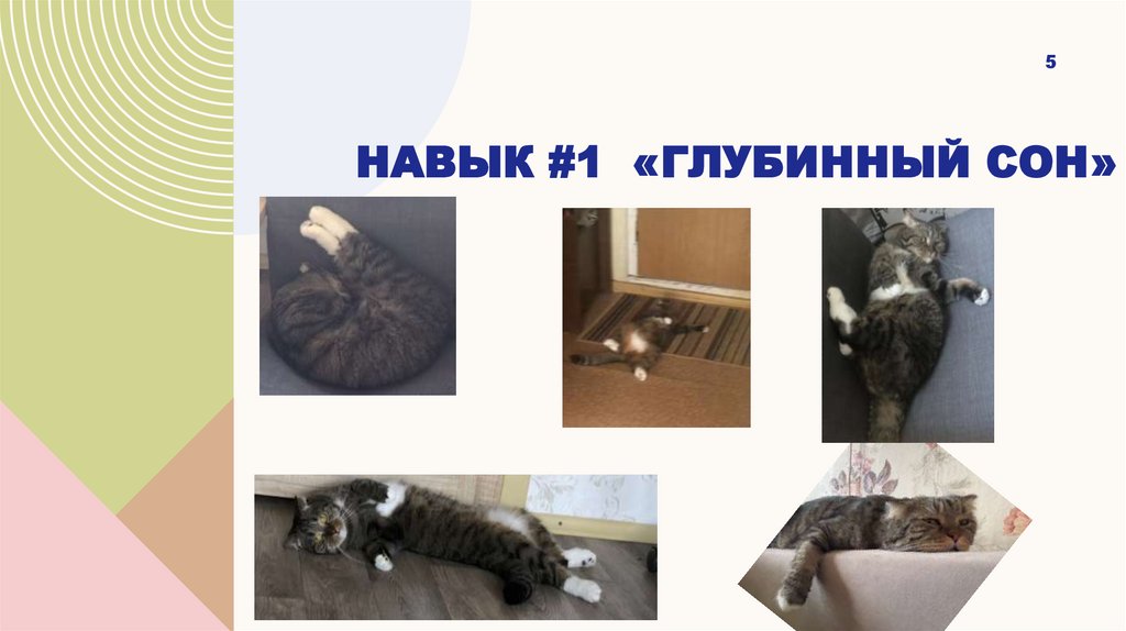 Навык #1 «Глубинный сон»