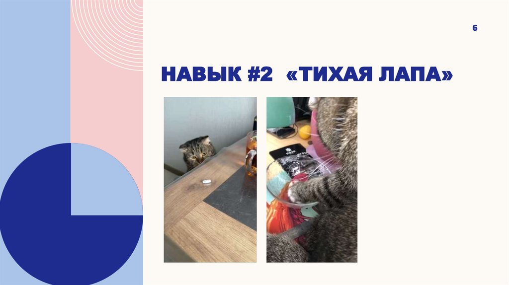 Навык #2 «Тихая лапа»