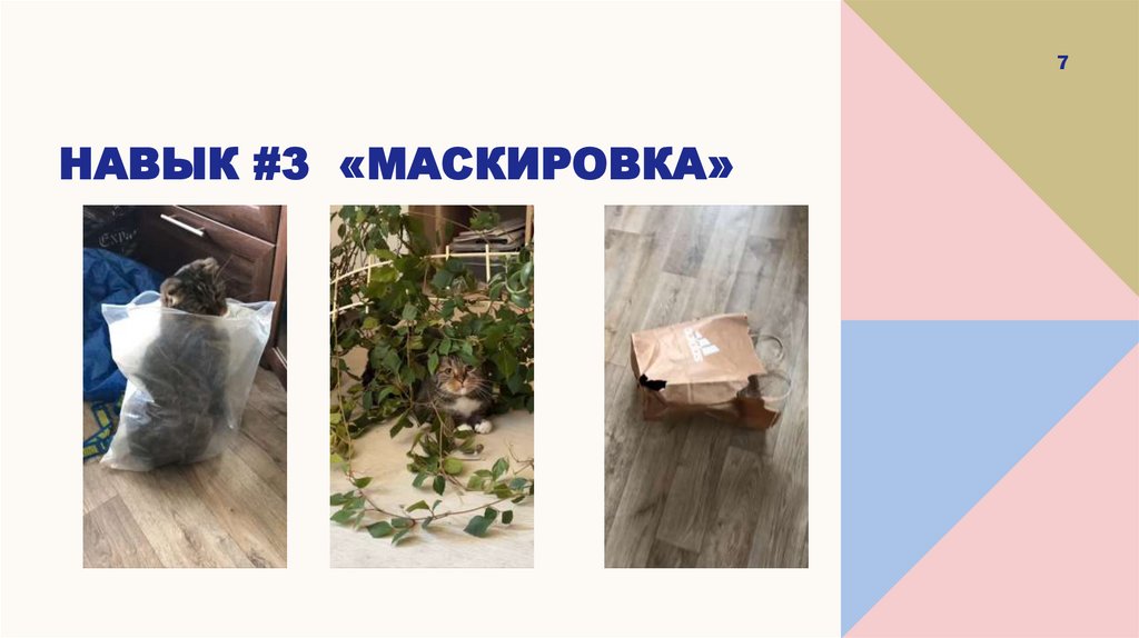 Навык #3 «маскировка»