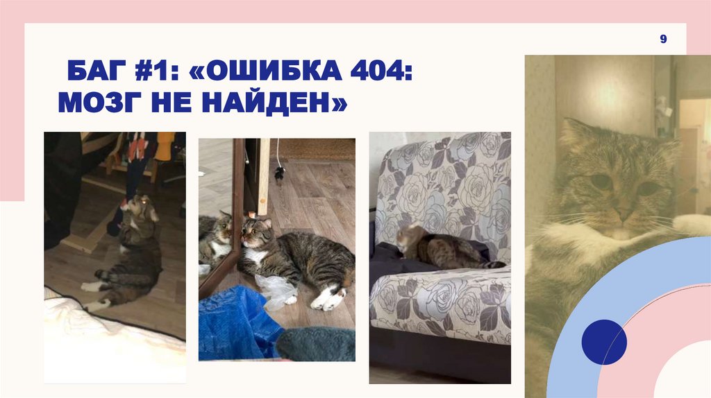 Баг #1: «Ошибка 404: Мозг не найден»