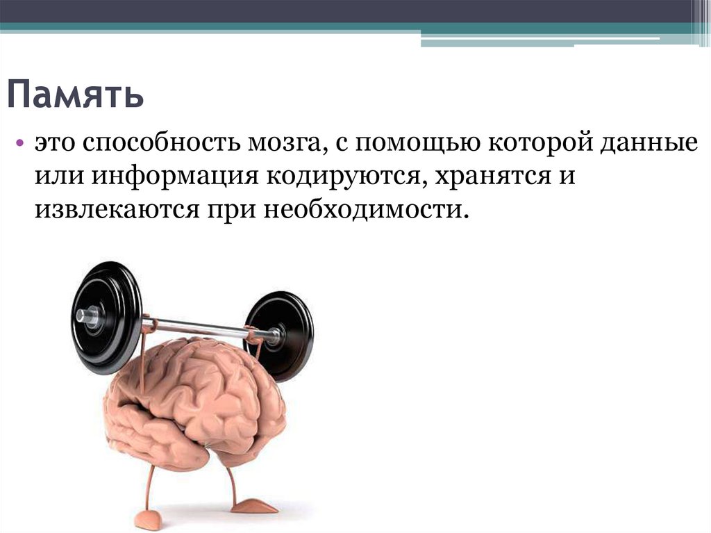Память