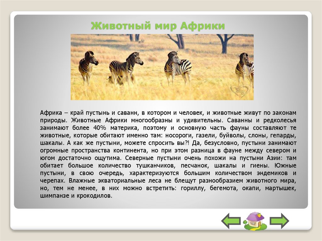 Животный мир Африки