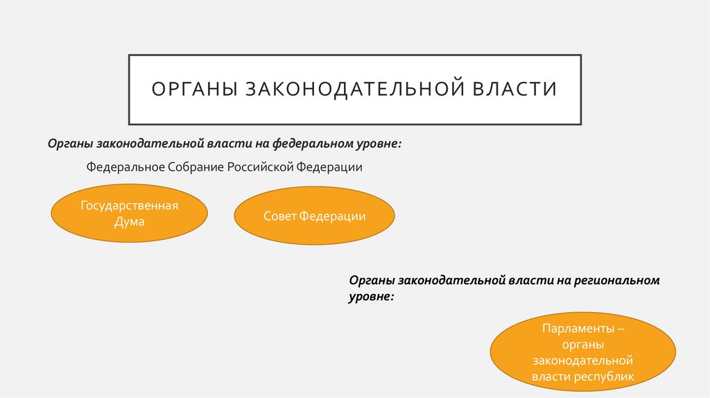 Органы законодательной власти