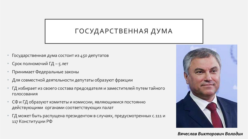 Государственная дума