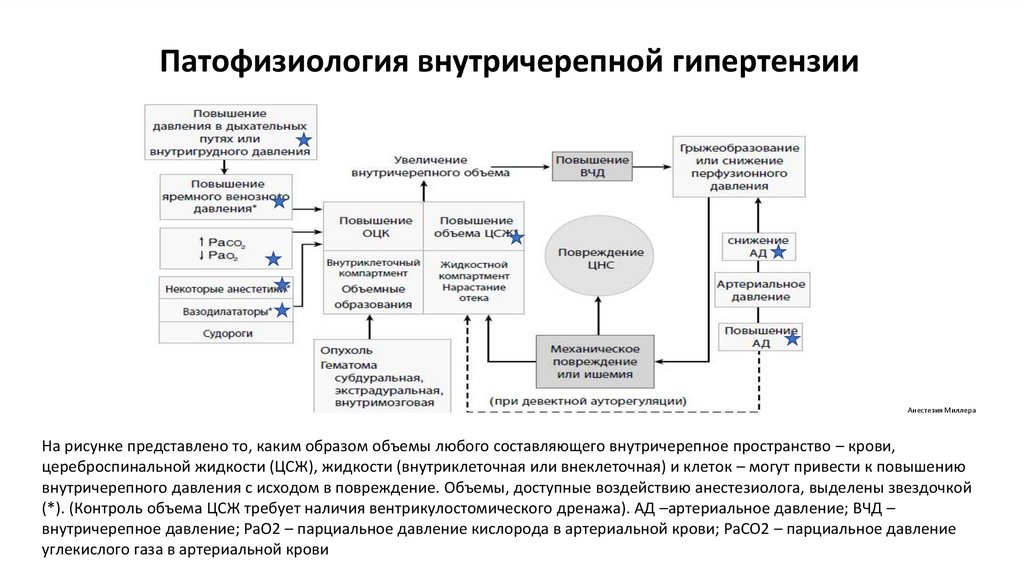 Патофизиология внутричерепной гипертензии