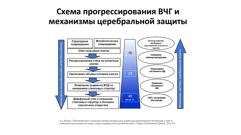 Схема прогрессирования ВЧГ и механизмы церебральной защиты