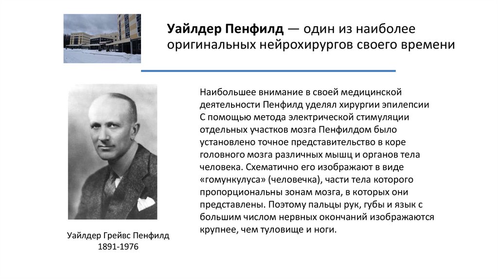 Уайлдер Пенфилд — один из наиболее оригинальных нейрохирургов своего времени