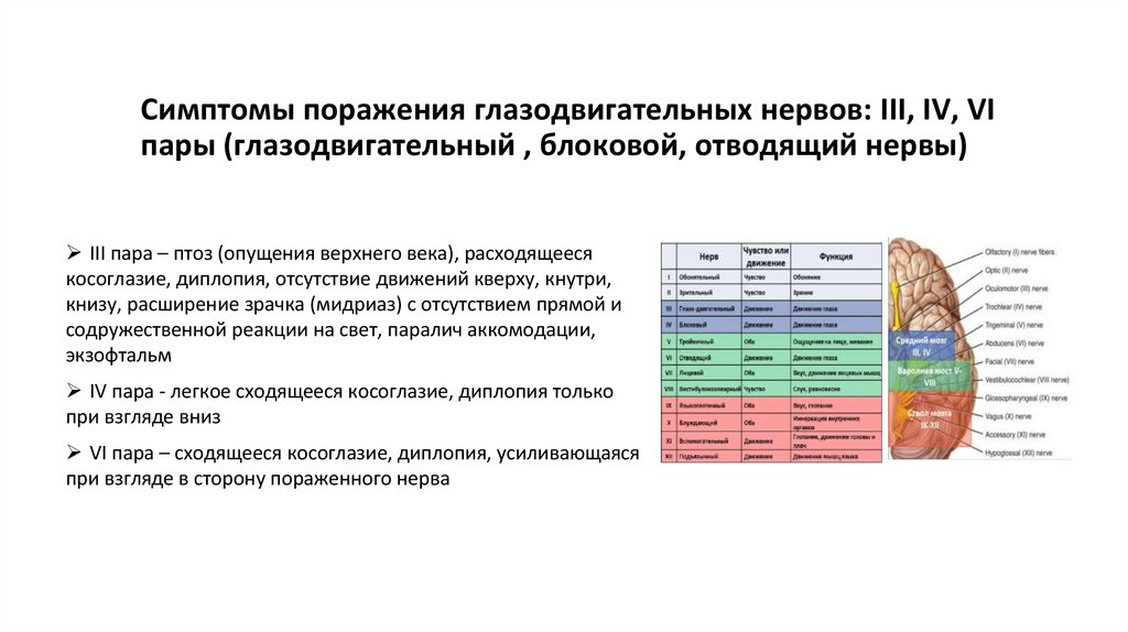 Симптомы поражения глазодвигательных нервов: III, IV, VI пары (глазодвигательный , блоковой, отводящий нервы)