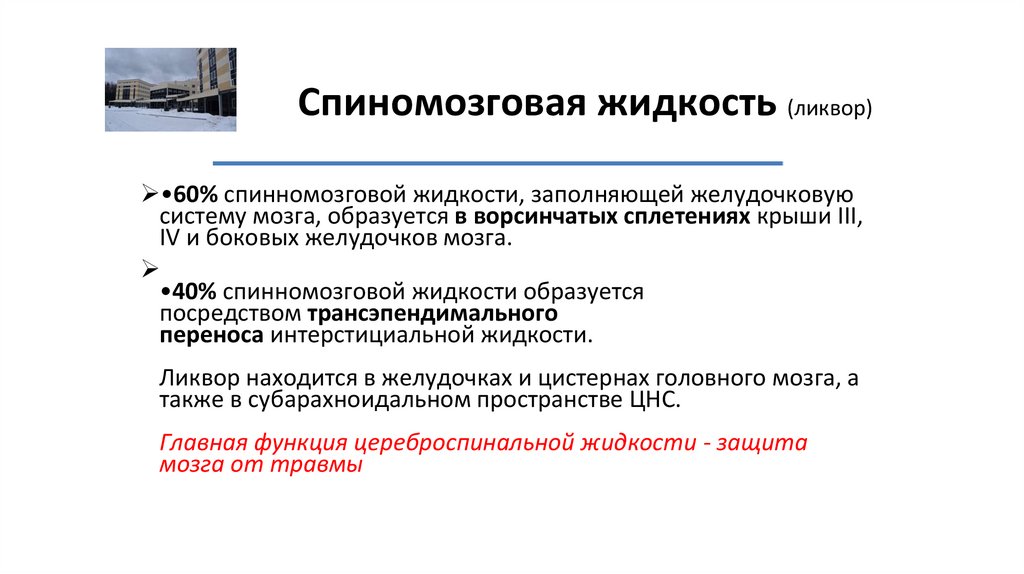 Спиномозговая жидкость (ликвор)