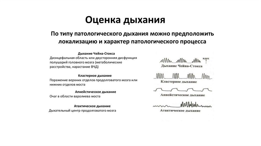 Оценка дыхания