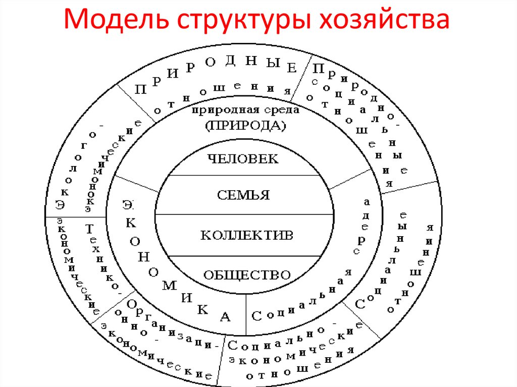 Модель структуры хозяйства
