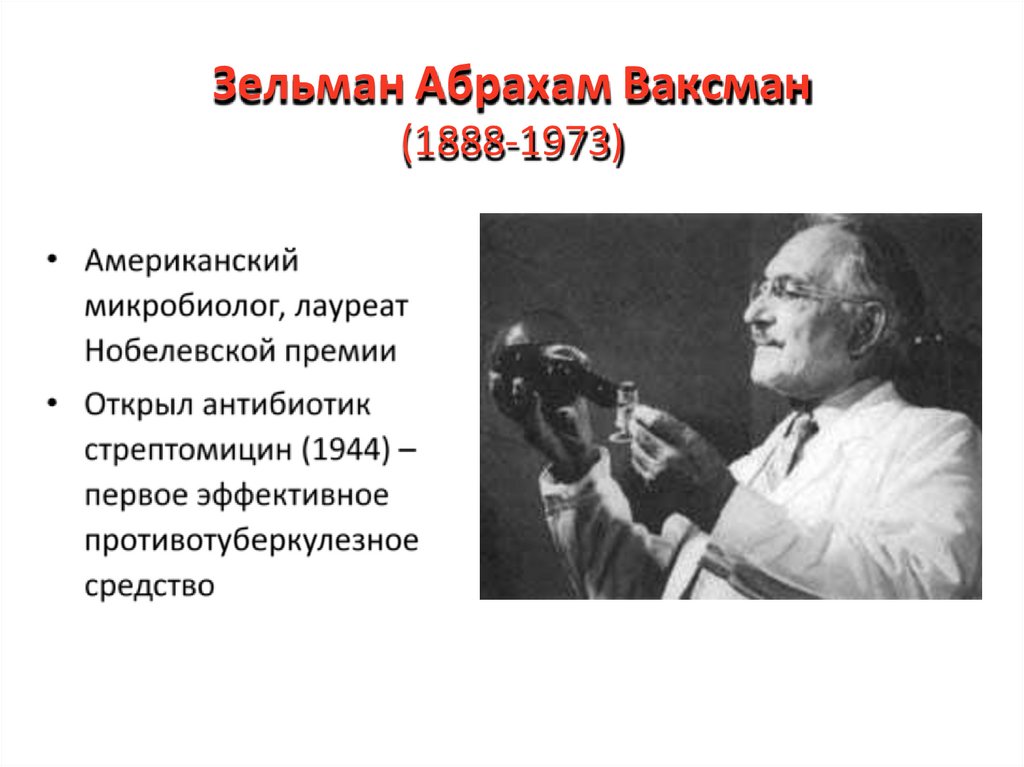 Зельман Абрахам Ваксман (1888-1973)