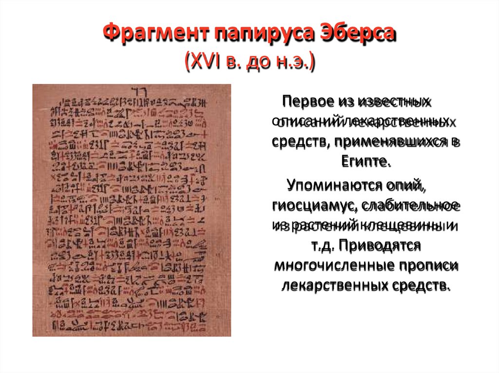 Фрагмент папируса Эберса