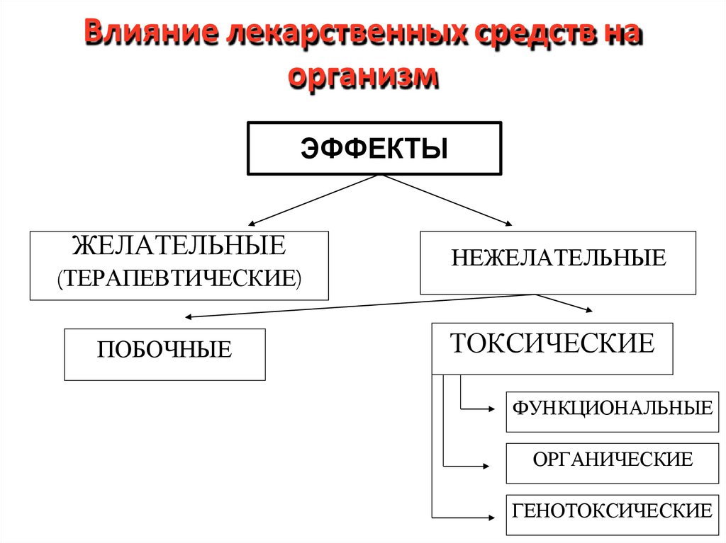 Влияние лекарственных средств на организм