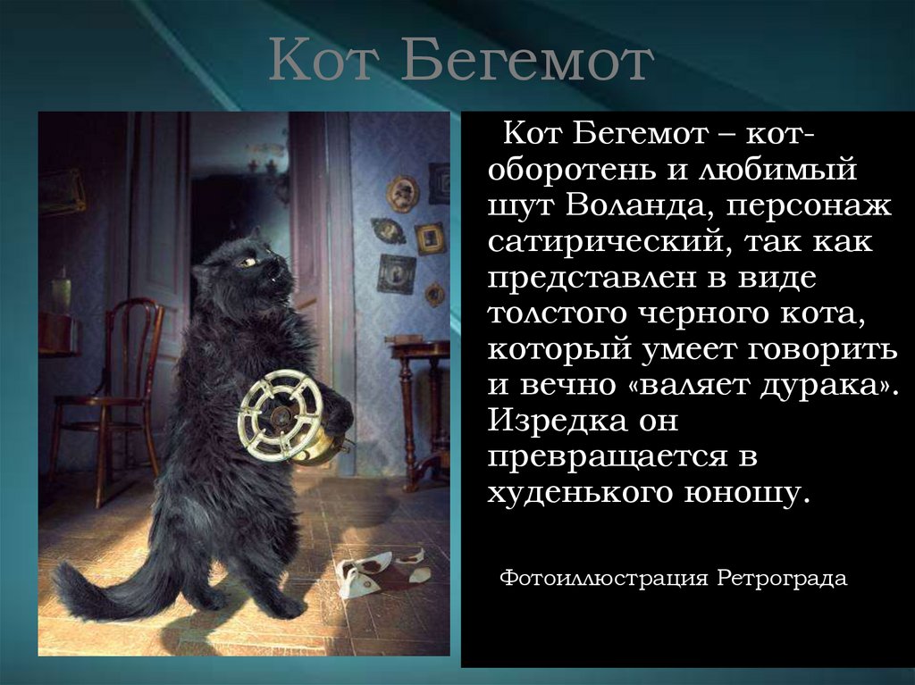 Кот Бегемот