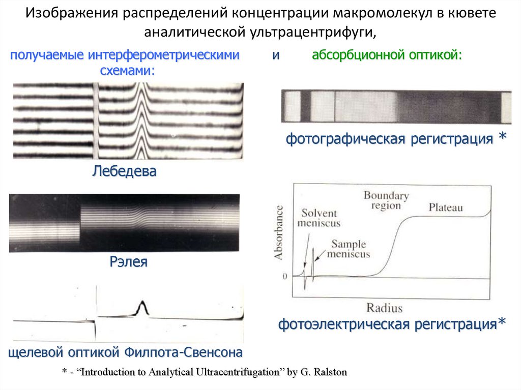 Изображения распределений концентрации макромолекул в кювете аналитической ультрацентрифуги,