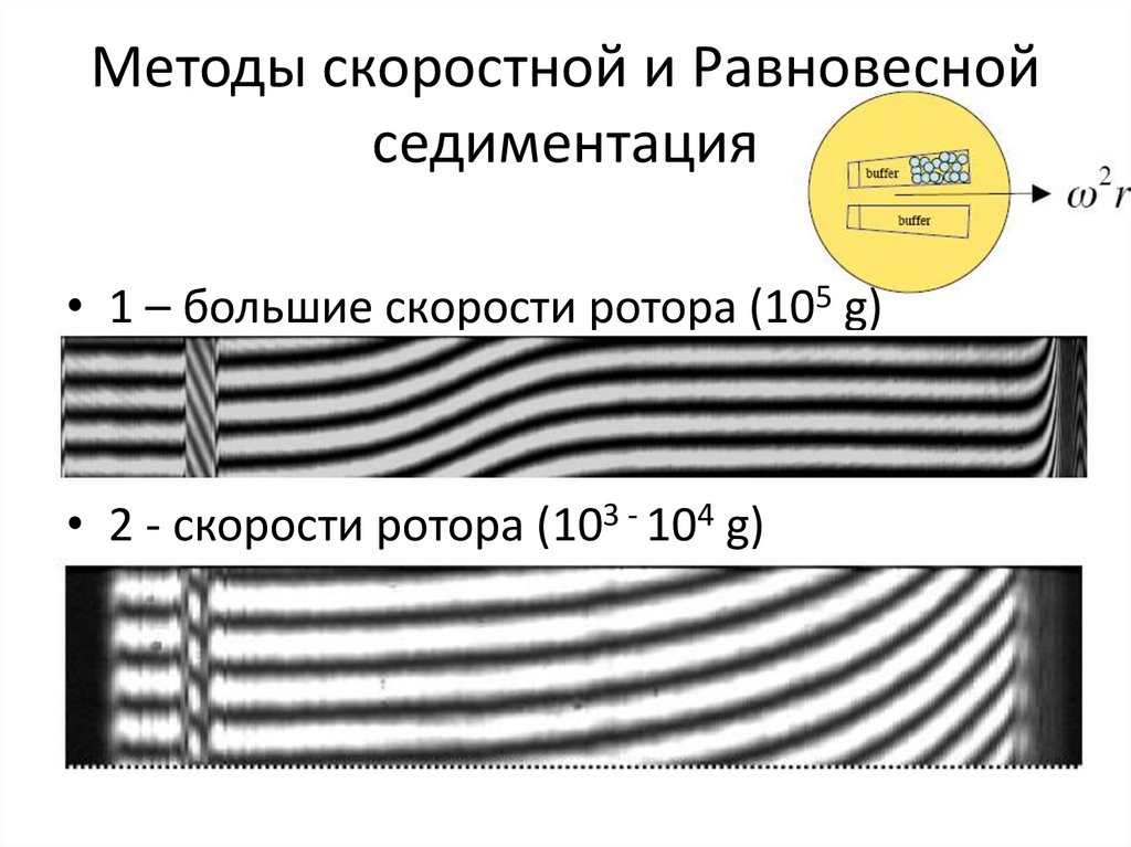 Методы скоростной и Равновесной седиментация